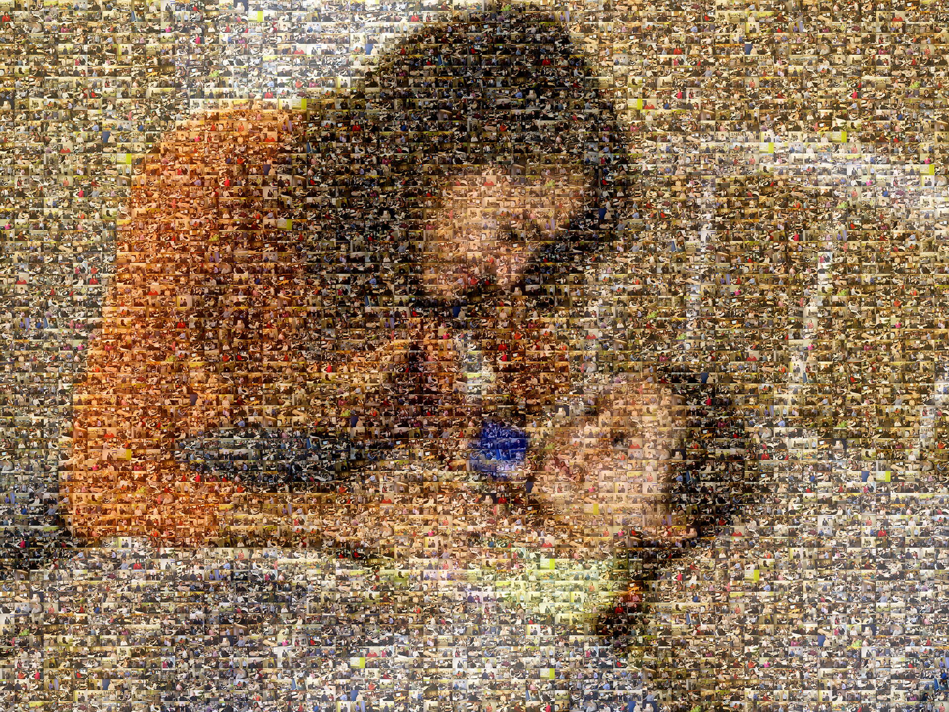 photo mosaic created using 268 employee photos