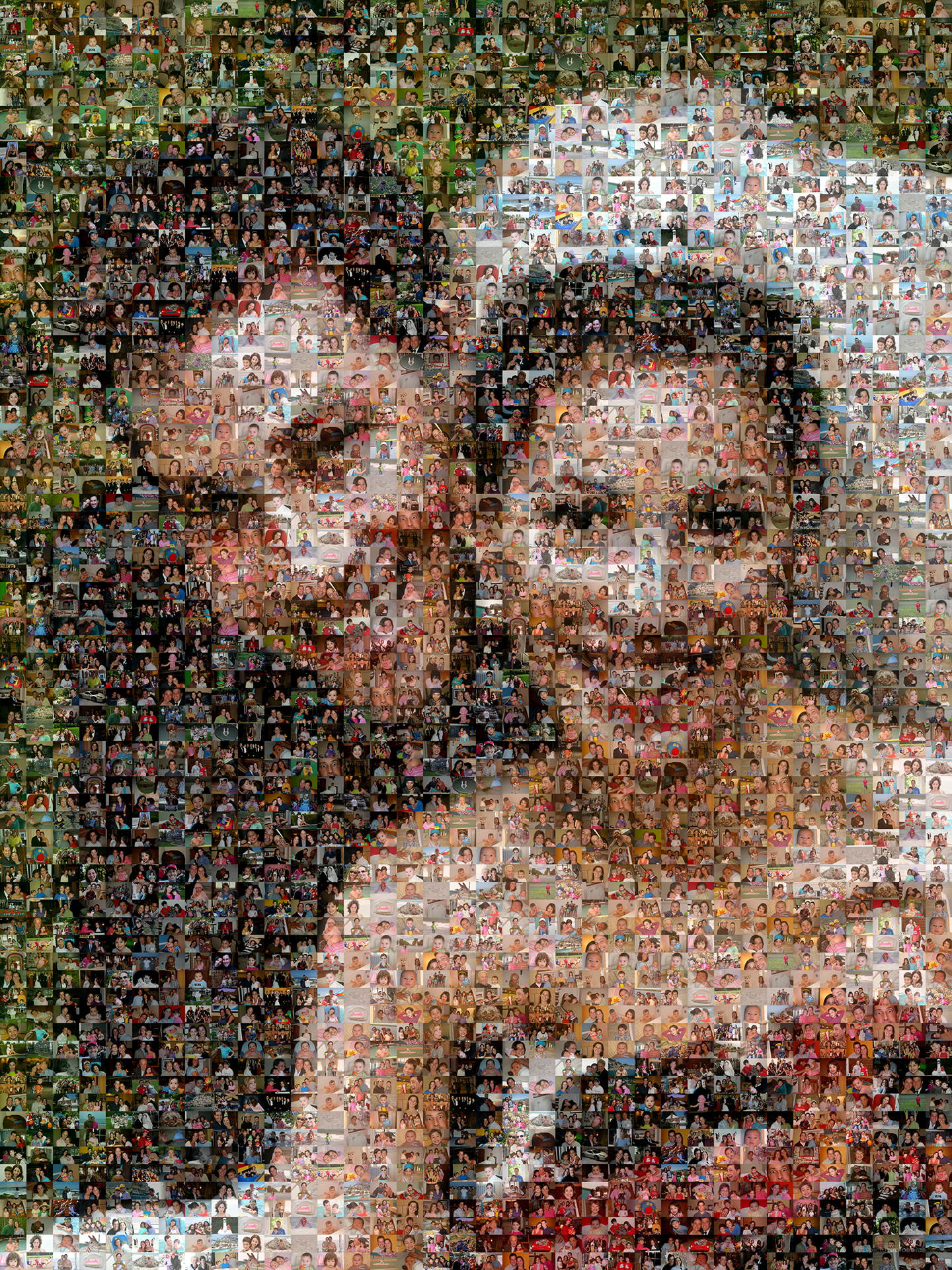 photo mosaic created using 413 family photos