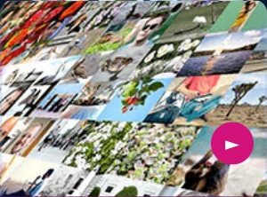 Zoom and Explore animation style thumbnail.