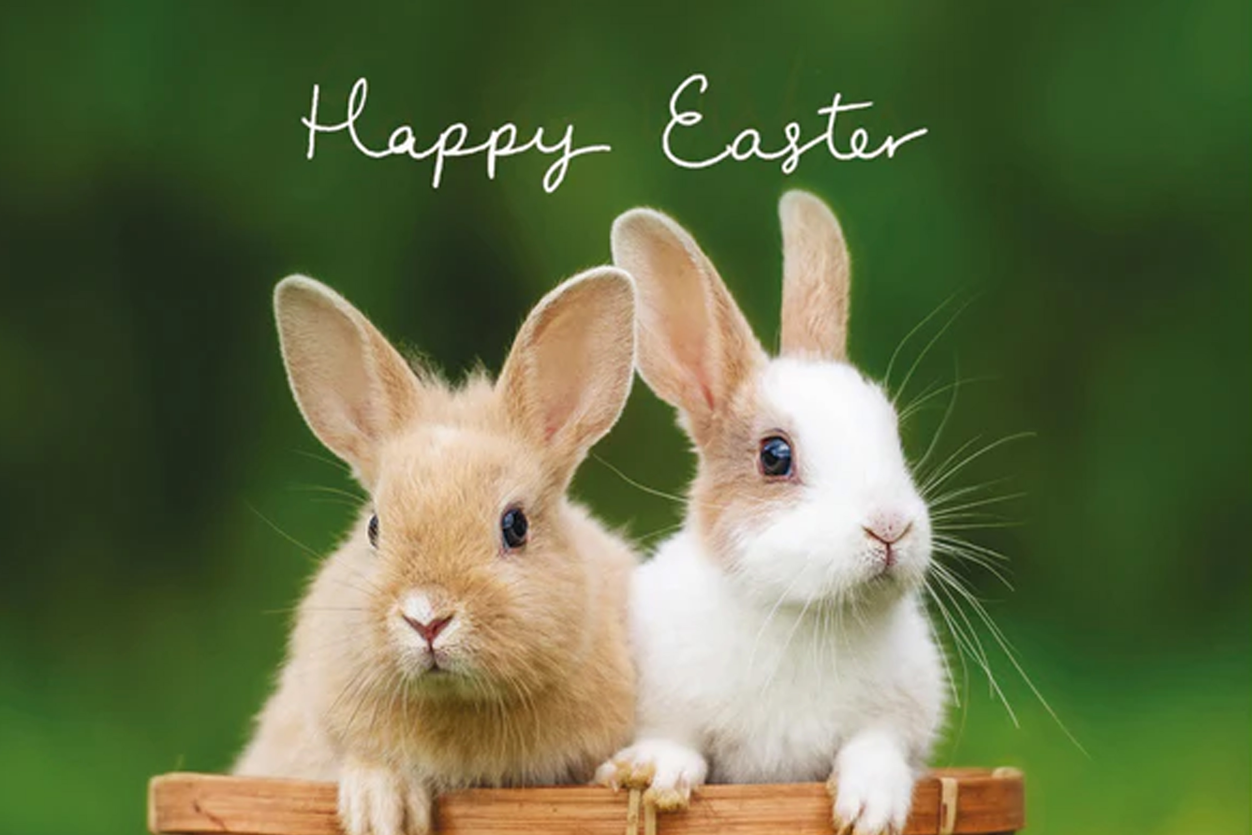 Thin text example that becomes unreadable in mosaics