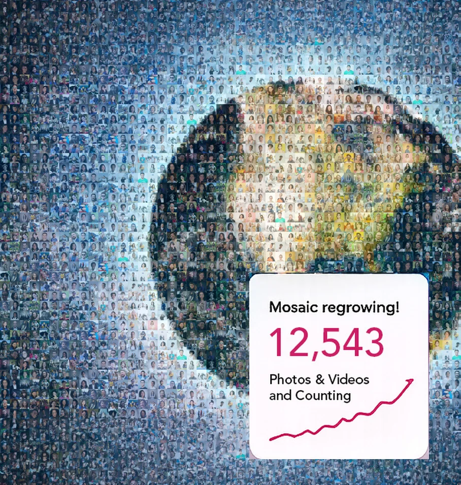 Globe mosaic with a live count of photos and videos.